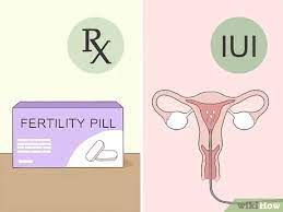 4 Ways To Improve Egg Quality For Pregnancy Wikihow