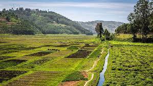 Despite having considerable natural resources, madagascar has among the highest poverty rates in the world. Land Use Planning For Enhanced Resilience Of Landscapes In Madagascar And Mozambique Profor