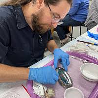 In-Person Courses • Center for Collections Care • Beloit College