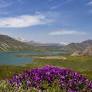 ‫ارزانترین بلیط دبی from www.flytoday.ir‬‎