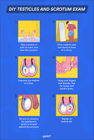 You may feel small, squishy lumps of tubes. One Testicle Bigger Than The Other Causes Concerns And More