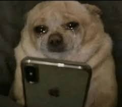 Sad Dog GIFs | Tenor