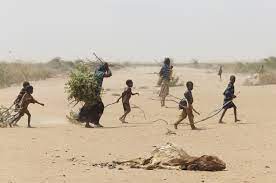 Somali traditional dress & attires | picture gallery. Afrika Junior Somalia
