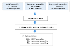 Malaysia tercatat memiliki sejarah homofobia. Https Hrmars Com Papers Submitted 3685 A Systematic Review Of Counselling Lesbian Gay Bisexual And Transsexual Lgbt Individuals Pdf