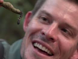 New Species of Caterpillar Discovered in Peru