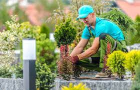 A lot of people don't do the watering until the afternoon or early evening, and that encourages slugs, bugs and disease, said master gardener ed hume, founder of ed hume seeds. How Much Does A Gardener Charge To Maintain Your Garden Hankintech