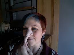 Alternative nose options for craft project