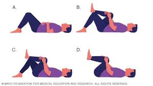 We did not find results for: Slide Show Back Exercises In 15 Minutes A Day Mayo Clinic