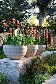 Pin Von Ammon Kg Raumbegrunung Auf Gefasspflanzungen Im Aussenbereich Topfgarten Kubelpflanzen Und Asia Garten