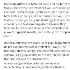 The cell walls of bacteria are made up of peptidoglycan. 4 Deffrence Between Bacterial And Plant Cell Wall Brainly In