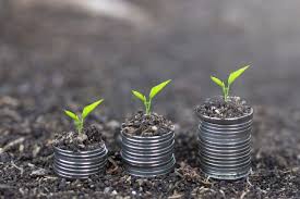 Plant Growing On Money Coin Stack Finance Sustainable Development Money Concepts Sustainable Development Sustainability