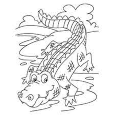 Also cartoon coloring pages of crocodile are very nice and funny. Top 10 Free Printable Crocodile Coloring Pages Online