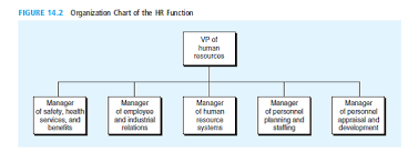 Solved Examine The Placement Of The Manager Of Hr Systems