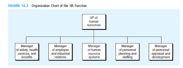 solved examine the placement of the manager of hr systems