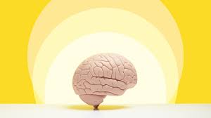 Image result for Placebo Effect