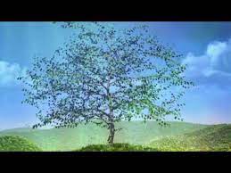 Maybe you would like to learn more about one of these? Tree Grow Time Lapse Reverse Youtube