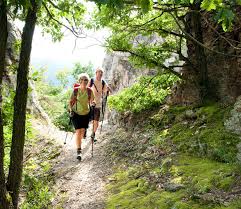 Hier wandert man auf der marillenmeile auf unterschiedlichen routen (von 2,2 bis 5,5 kilometer lang) durch blühende marillengärten und erfährt allerlei wissenswertes über das süße früchtchen. Wandern In Der Wachau Hotel Richard Lowenherz