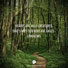 Hearts Are Wild Creatures That S Why Our Ribs Are Cages Unknown Nature Quotes Words Inspirational Quotes