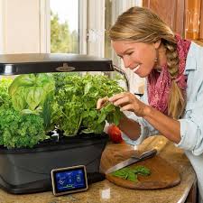 Make sure that the table or shelf you're placing it on is close to an electrical outlet so that you can plug the unit in. Best Aerogarden 2020 Reviews