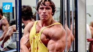 Olympia, conan, terminator, and governor of california. Best Bodybuilder Of All Time Arnold Schwarzenegger S Blueprint Training Program Youtube