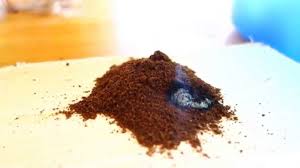 Kaffee Vs Wespen Einfach Gunstig Und Biologisch Wespen Im Garten Terrasse Balkon Vertreiben Youtube