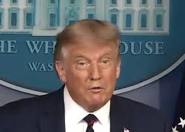 Massachusetts woman who allegedly threw bloody tampon into crowd of Trump  supporters agrees to pretrial probation