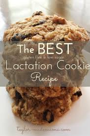 This Post Contains Affiliate Links For Your Convenience The Products Linked Are One Lactation Cookies Recipe Lactation Cookies Easy Gluten Free Cookie Recipes