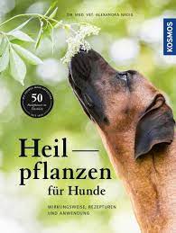 Als hundegesetz werden die in manchen deutschen ländern, in einigen österreichischen ländern, in den meisten schweizer kantonen sowie in liechtenstein bestehenden parlamentsgesetze über das halten von hunden bezeichnet. Heilpflanzen Fur Hunde Haltung Gesundheit Hunde Ratgeber Naturfuhrer Bucher Kosmos
