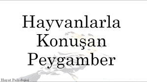 Hayvanlarla Konusan Peygamber Youtube