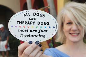 Photos: Mutts & Margaritas, 2020