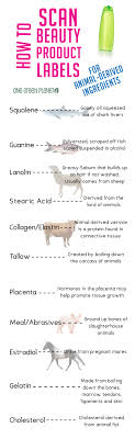 How To Scan Beauty Product Labels For Animal Derived Ingredients Beauty Products Labels Cruelty Free Cosmetics Vegan Beauty