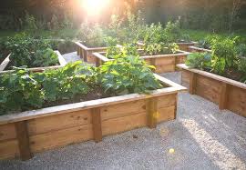 En stock expédition sous 15 jours. Des Bac En Bois Pour Le Jardinage