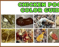 chicken manure poultry droppings, AI generated
