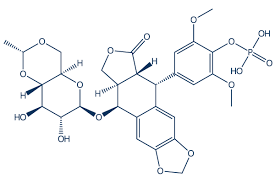 Image result for Etoposide