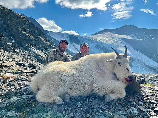 Mountain Goat – Terminus Mountain Outfitters