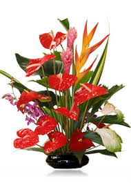 Maybe you would like to learn more about one of these? Island Tropicals Flower Leis