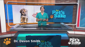 Follow along as the tallahassee leon community animal service center welcomes a special international guest vet as part of the. Salt Lake City For Pet S Sake News Weather Sports Breaking News Kutv