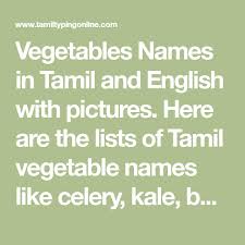 Vegetables Names In Tamil And English With Pictures Here Are The Lists Of Tamil Vegetable Names Like Celery Kale Beerakaya Asparag Vegetables Names English