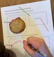 Excavate a Cookie Like an Archaeologist!