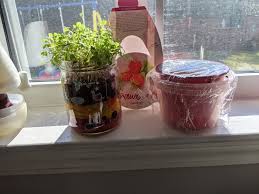 Built with side vents, champion garden windows offer improved ventilation, letting in cooling breezes and the sounds of nature. Lia S Strawberry Plants The Martha Review Lia S Strawberry Plants