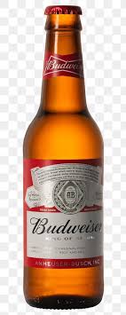 Download Premium Png Of Budweiser King Of Beers In A Glass Bottle January In 2020 Beer Budweiser Bottle