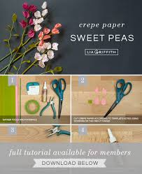 Download Diy Flowers Crepe Paper Sweet Peas Lia Griffith