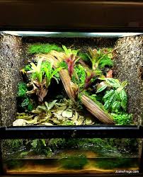 Terrarium Construction Frog Terrarium Vivarium Large Terrarium