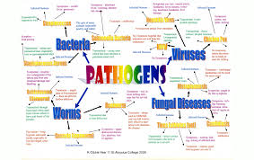 Concept Map Hd Wallpapers Ihotwallpapers Com Concept Map Mind Map Fun Education