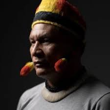 We're backing the Indigenous protectors of the Amazon · Mission 29 · Planet  Wild