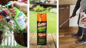 How To Choose The Best Bug Spray For Your Home Lowe S