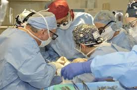 Na Slovensku čaká na transplantáciu vyše 400 pacientov
