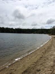 There are game birds and deer in the forest. Our Favorite Camping Spot In Ma Review Of Myles Standish State Forest Plymouth Ma Tripadvisor