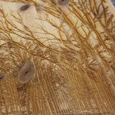 Profile for Faryn Davis Photography