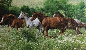 So, guys in this instructable i am going to show you how to make and 3d print a jigsaw puzzle using tinkercad. Meadow Run Horses Jigsaw Puzzle